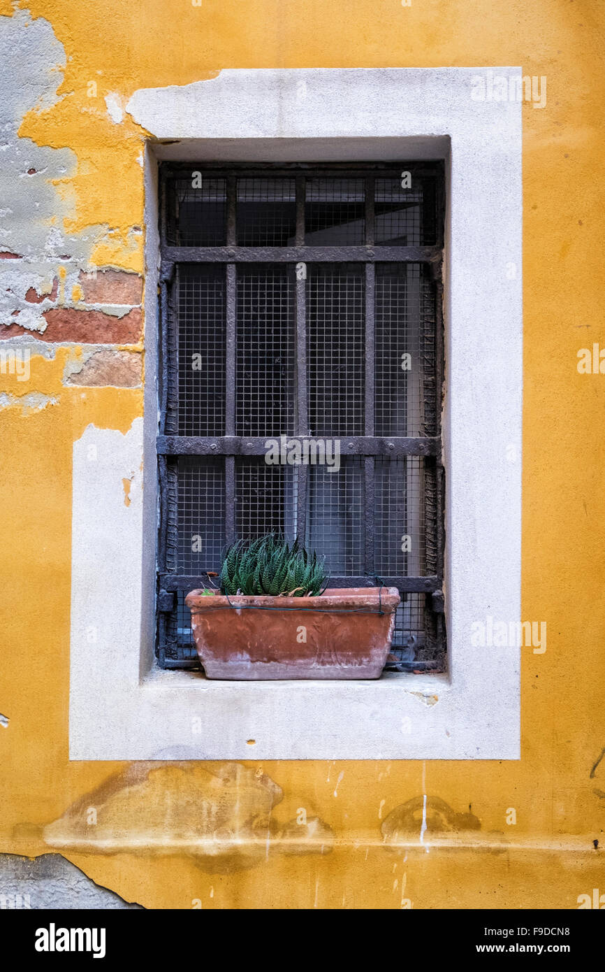 Venise, Chambre Détail de fenêtre en fer forgé avec barres de cambrioleur, fenêtre de dialogue et de l'écaillage de la peinture Banque D'Images