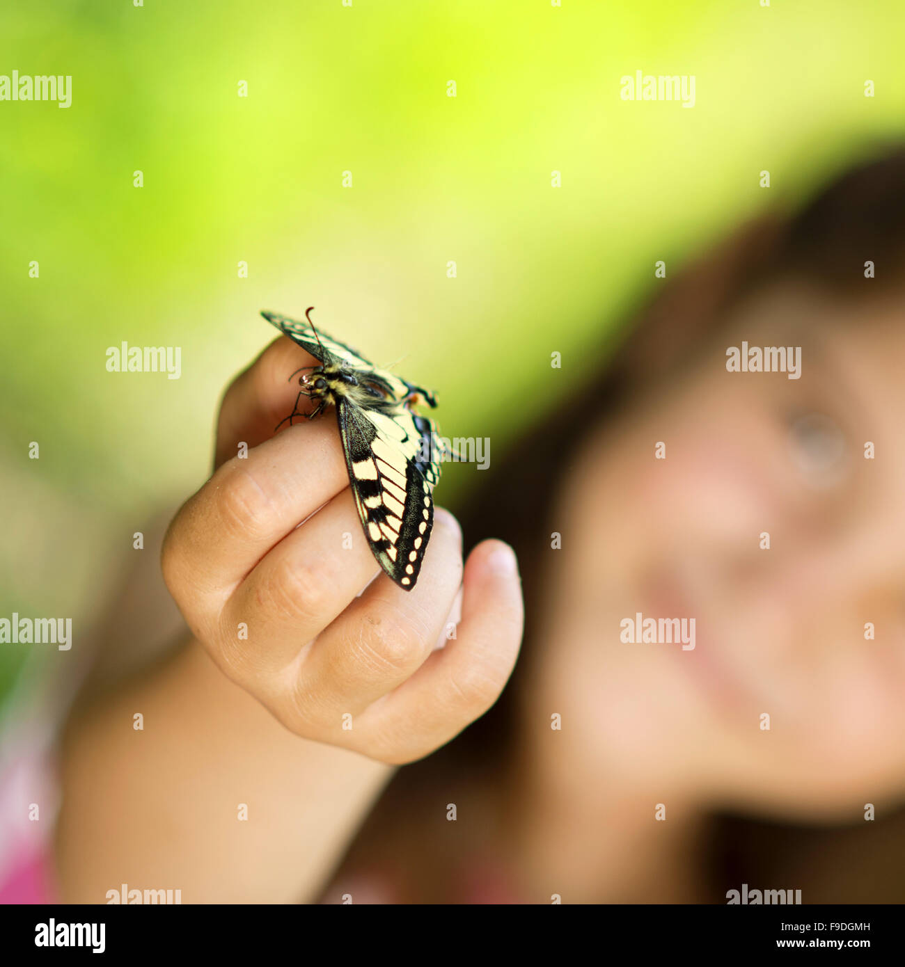 Petite fille joue avec papillon dans la nature Banque D'Images