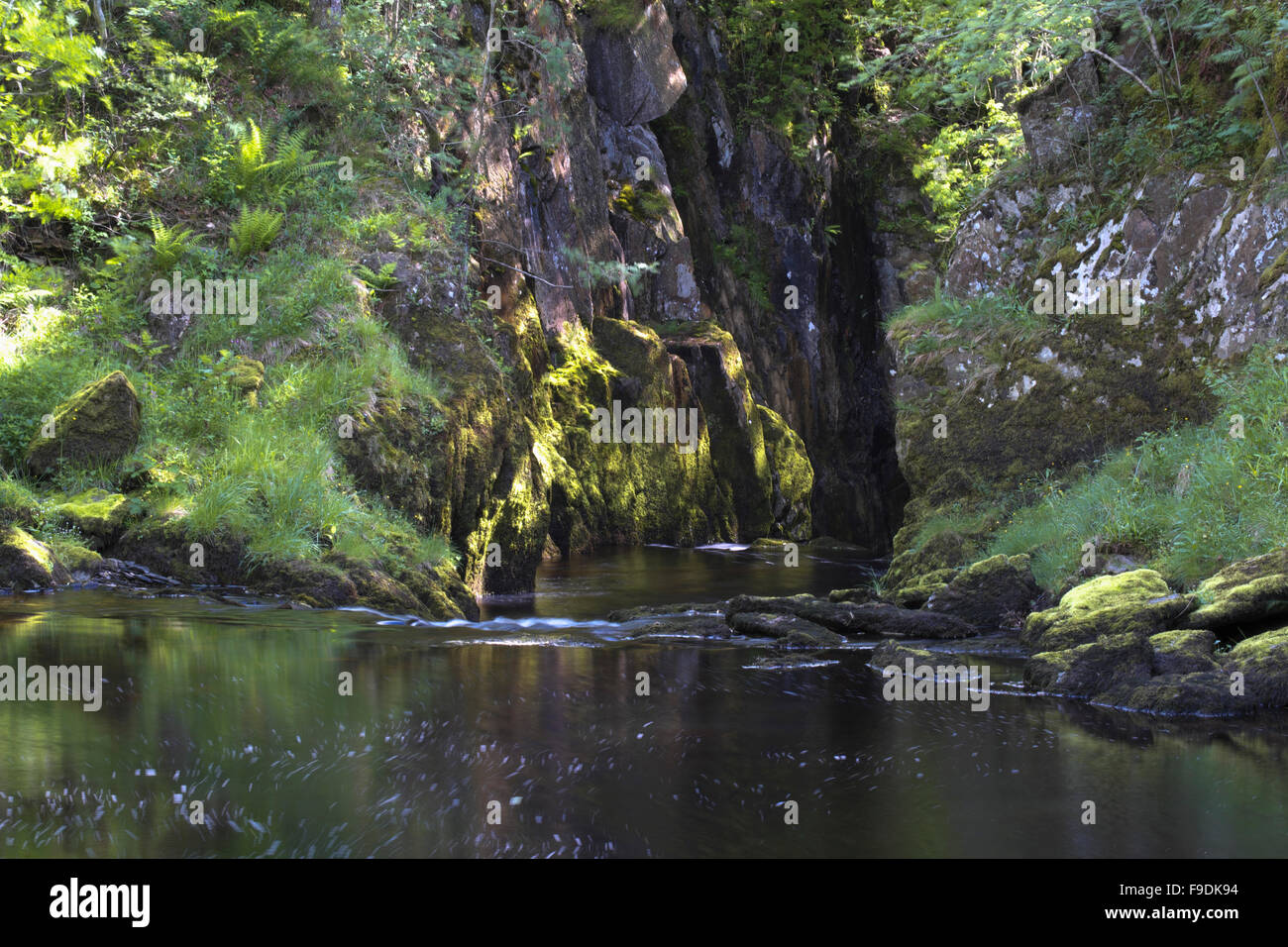 La lumière du soleil les roches moussues dappling dans une gorge le long de la rivière Twiss Banque D'Images