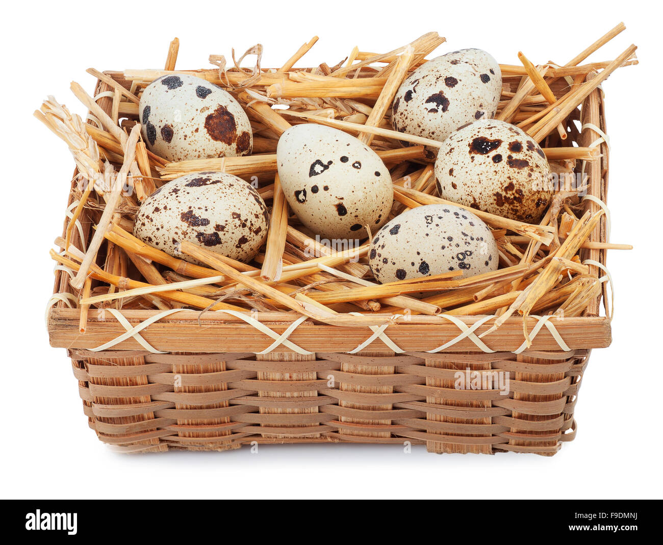 Des oeufs de cailles dans panier isolé sur fond blanc Banque D'Images