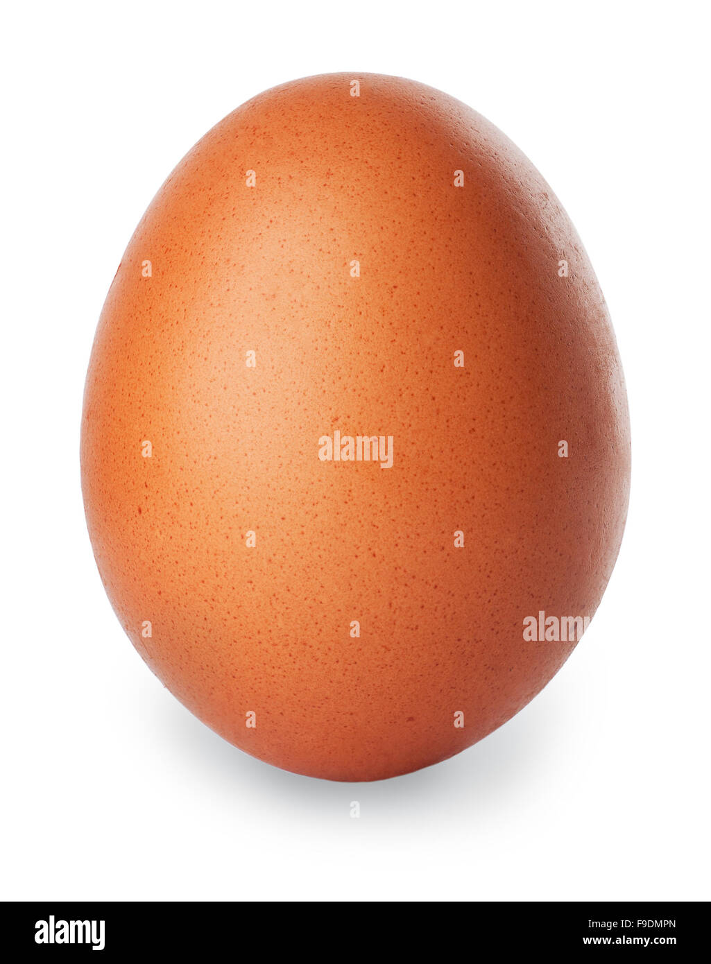 Oeuf de poule marron unique isolé sur fond blanc Banque D'Images