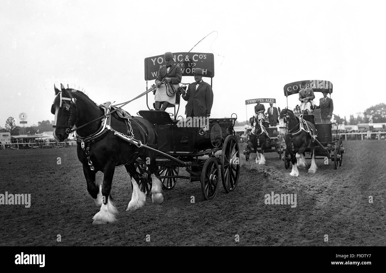 Les wagons de la brasserie à cheval lors de la Royal Agricultural Show en 1963 Banque D'Images