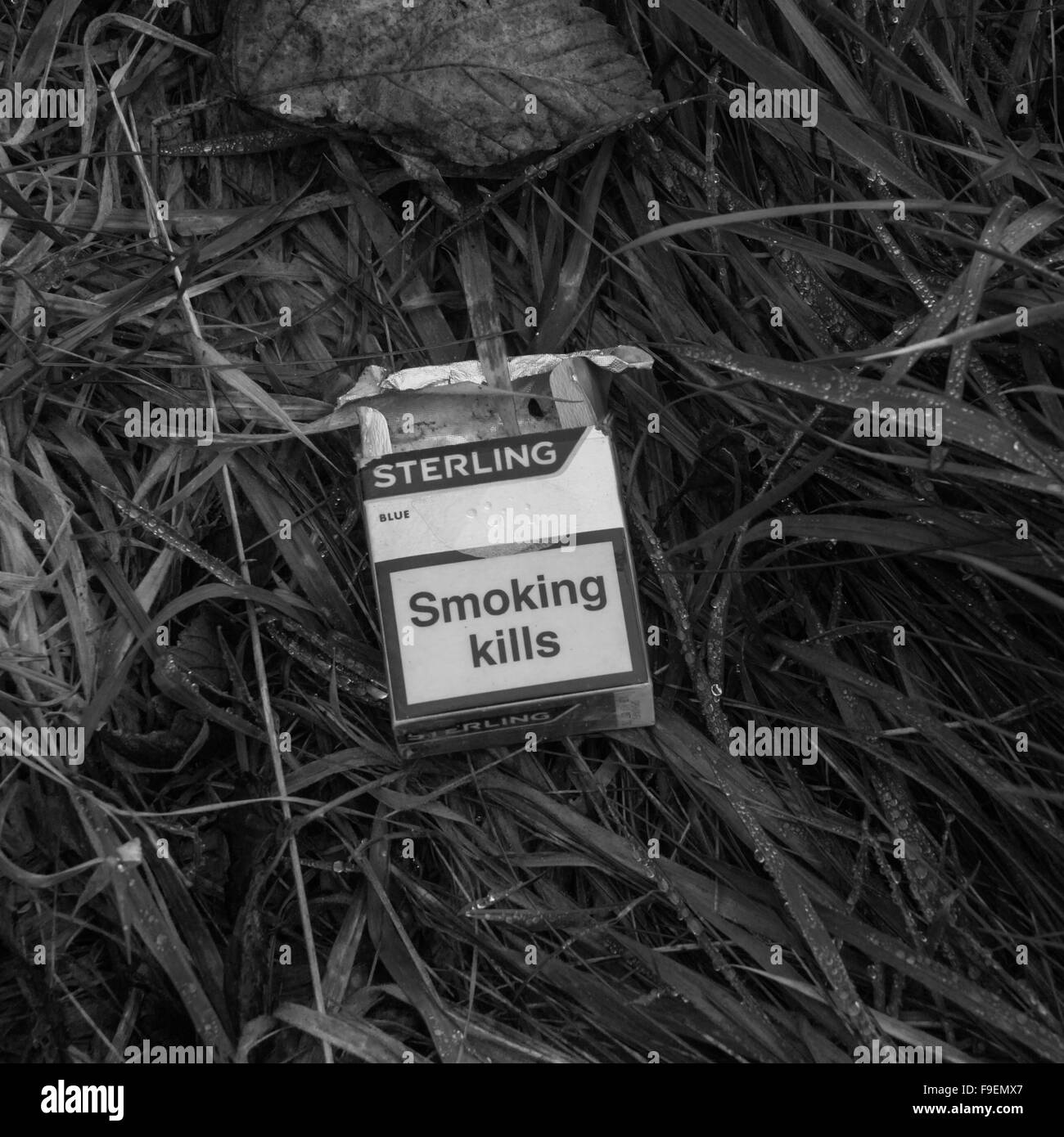 Fumer tue Banque D'Images