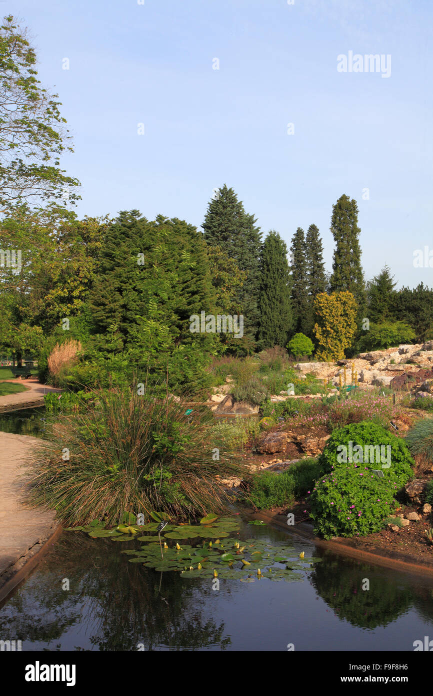 France Rhône-Alpes Lyon Parc de la tête d'Or jardin parc Banque D'Images