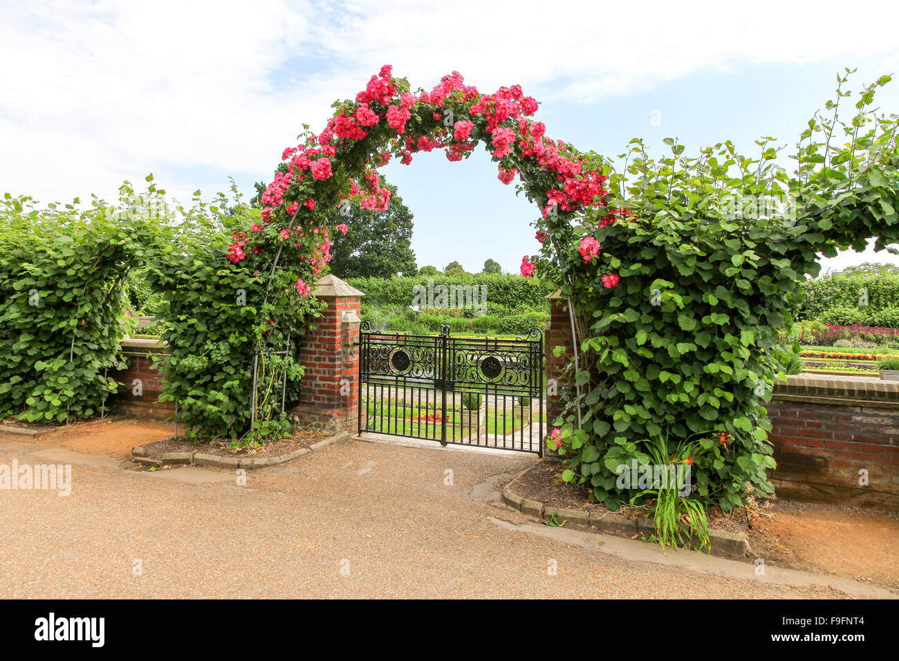 Une rose rouge à arbour il jardin en contrebas à Kensington Palace Gardens Royal Park London England UK Banque D'Images
