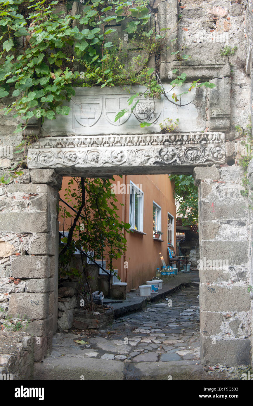 Turquie, côte occidentale de la mer Noire, Amasra, armoiries génoises et branches anciennes au-dessus d'une porte du château d'Amasra Banque D'Images