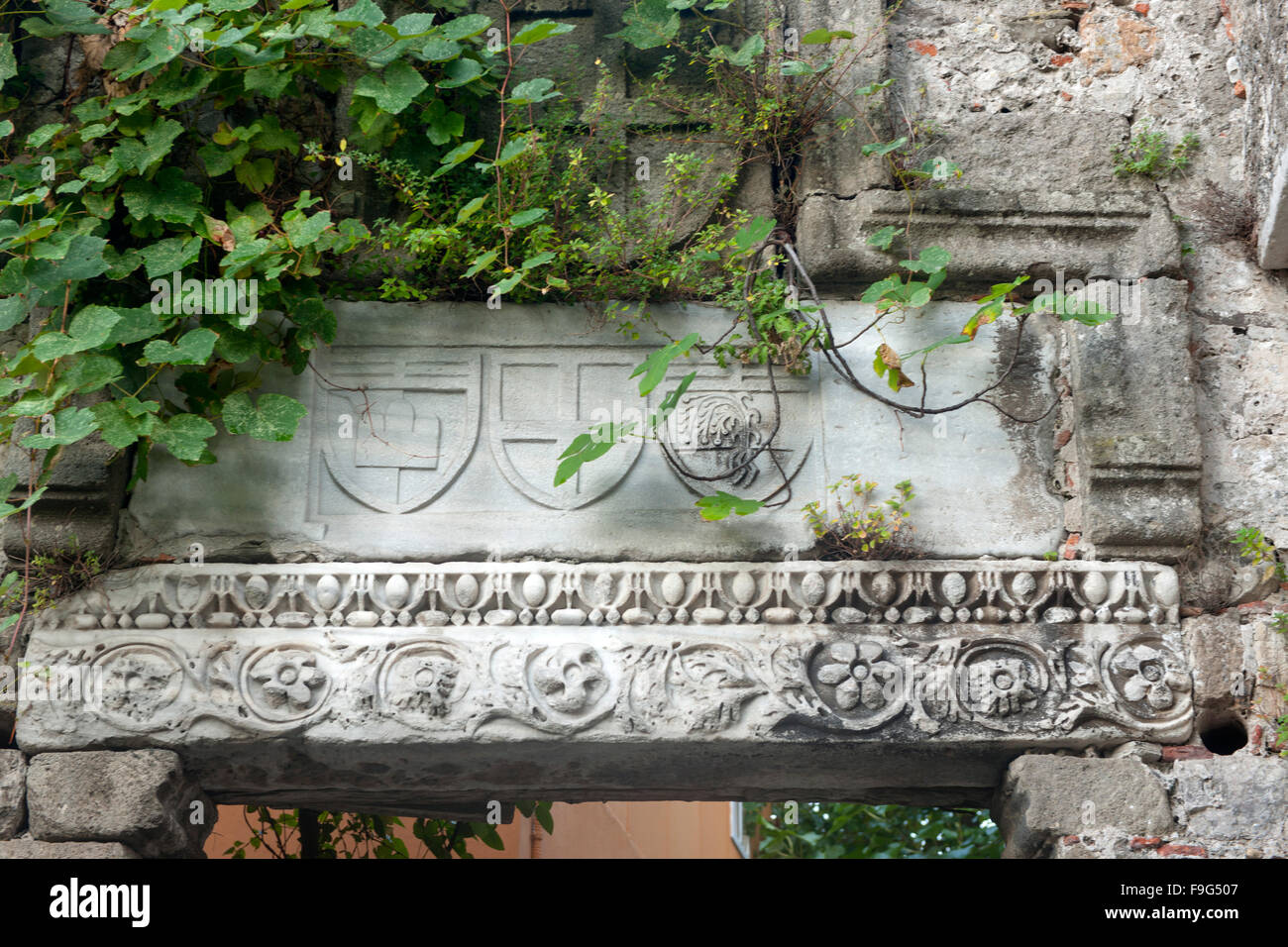 Turquie, côte occidentale de la mer Noire, Amasra, armoiries génoises et branches anciennes au-dessus d'une porte du château d'Amasra Banque D'Images