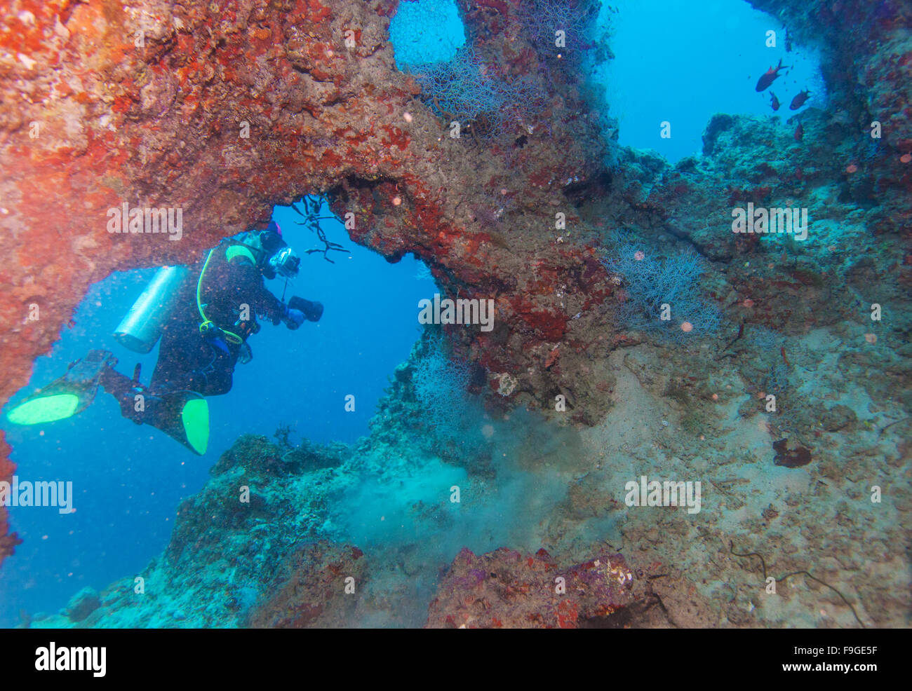 La plongée spéléo, Maldives Banque D'Images