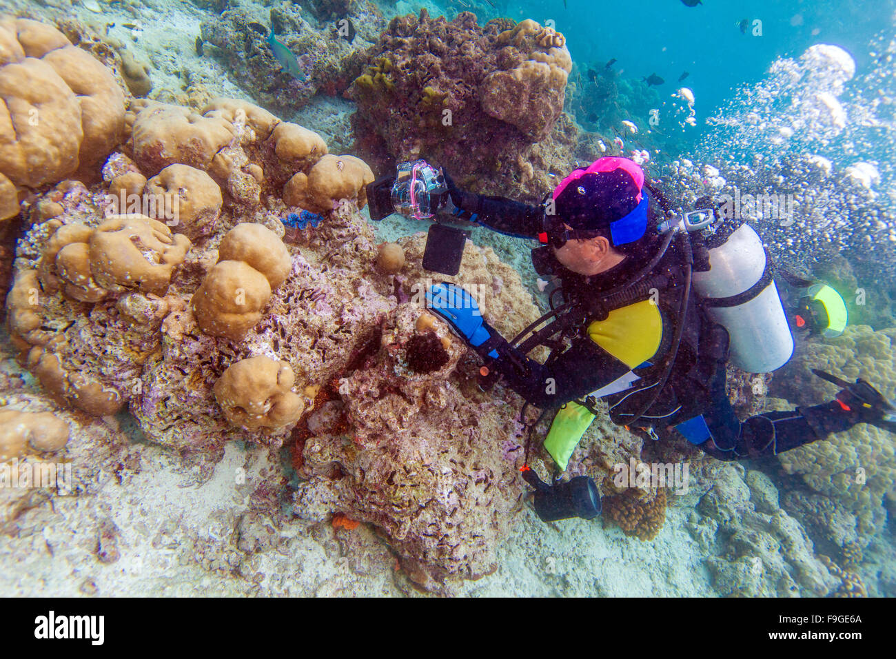 Free-diver avec appareil photo, Maldives Banque D'Images