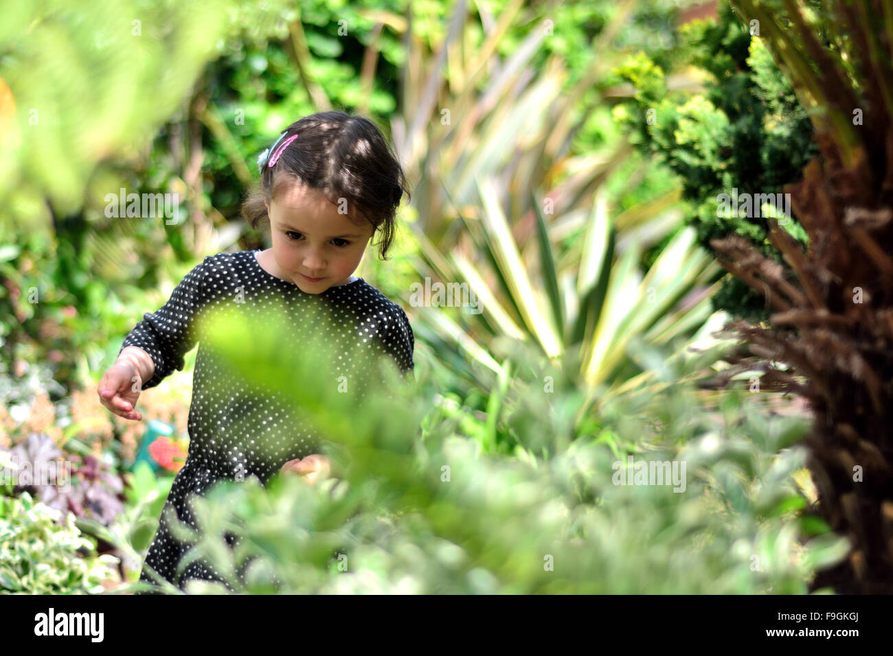 Une jeune fille parmi les plantes dans un jardin urbain. Une jeune fille se déplace dans un jardin urbain parmi les plantes, dans une robe tacheté Banque D'Images