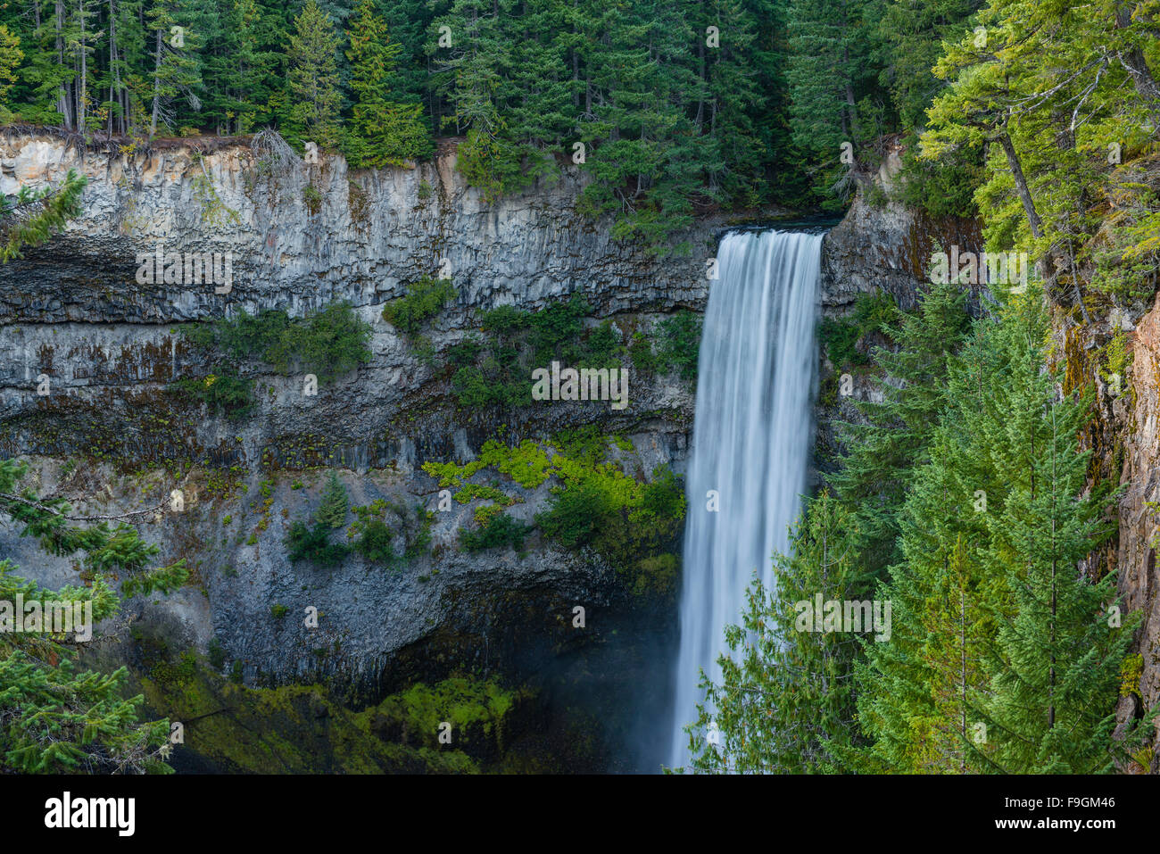 Brandywine Falls, une cascade, Brandywine Falls Provincial Park, British Columbia, Canada Banque D'Images