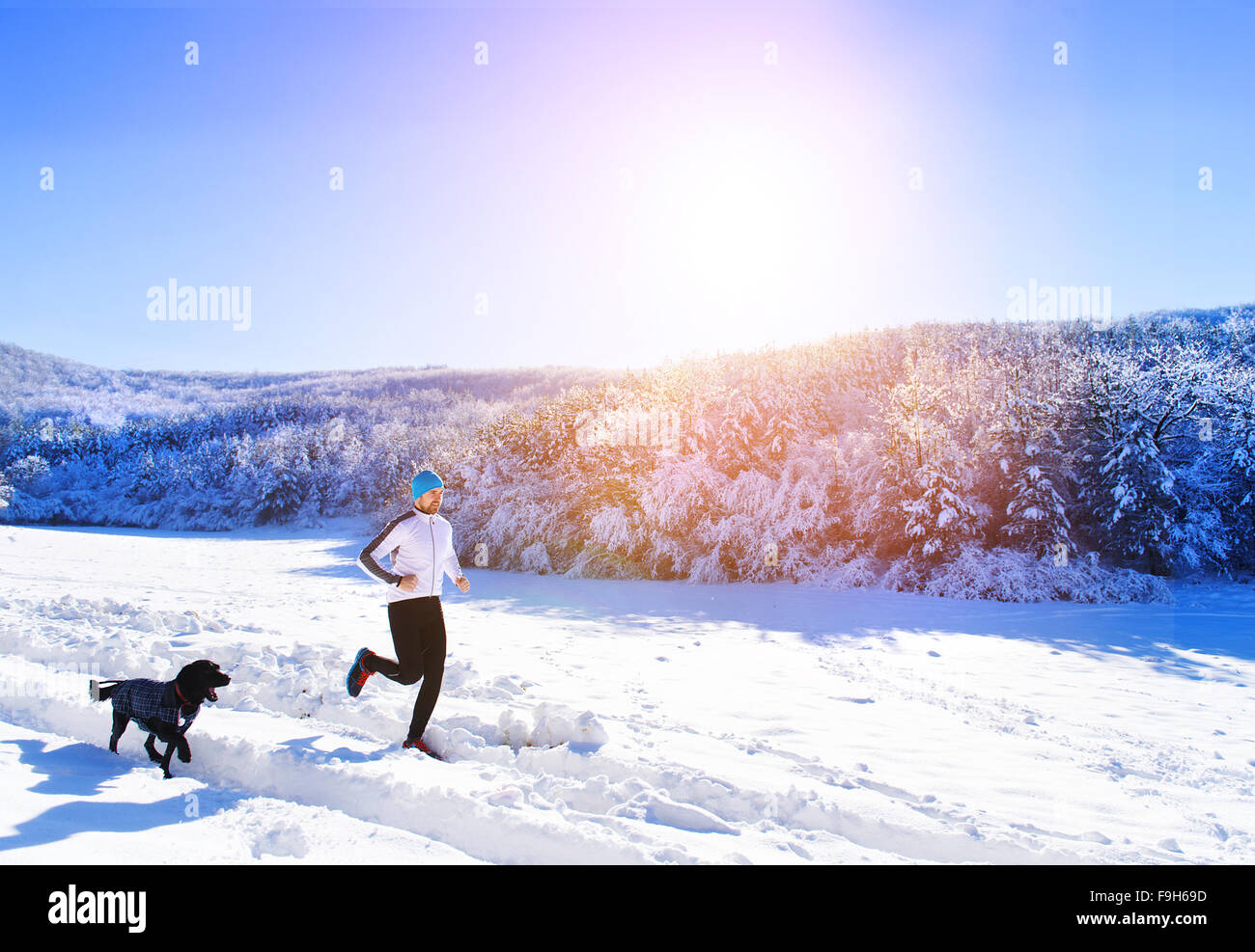 Jeune sportif jogging avec chien à l'extérieur dans le parc d'hiver ensoleillé Banque D'Images