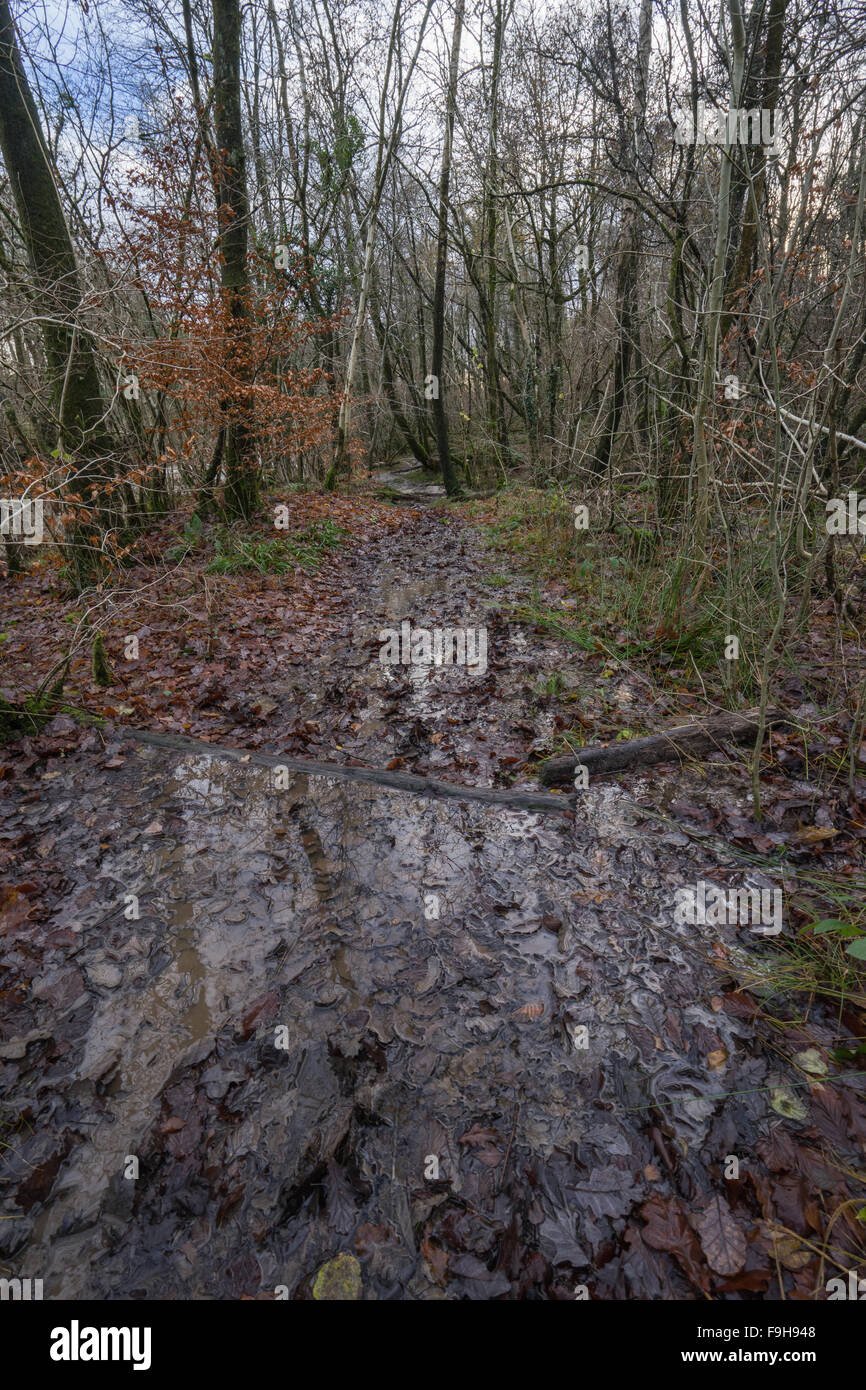 Coups d'un jour par la rivière kent, près de kendal après l'inondation de storm desmond. Banque D'Images