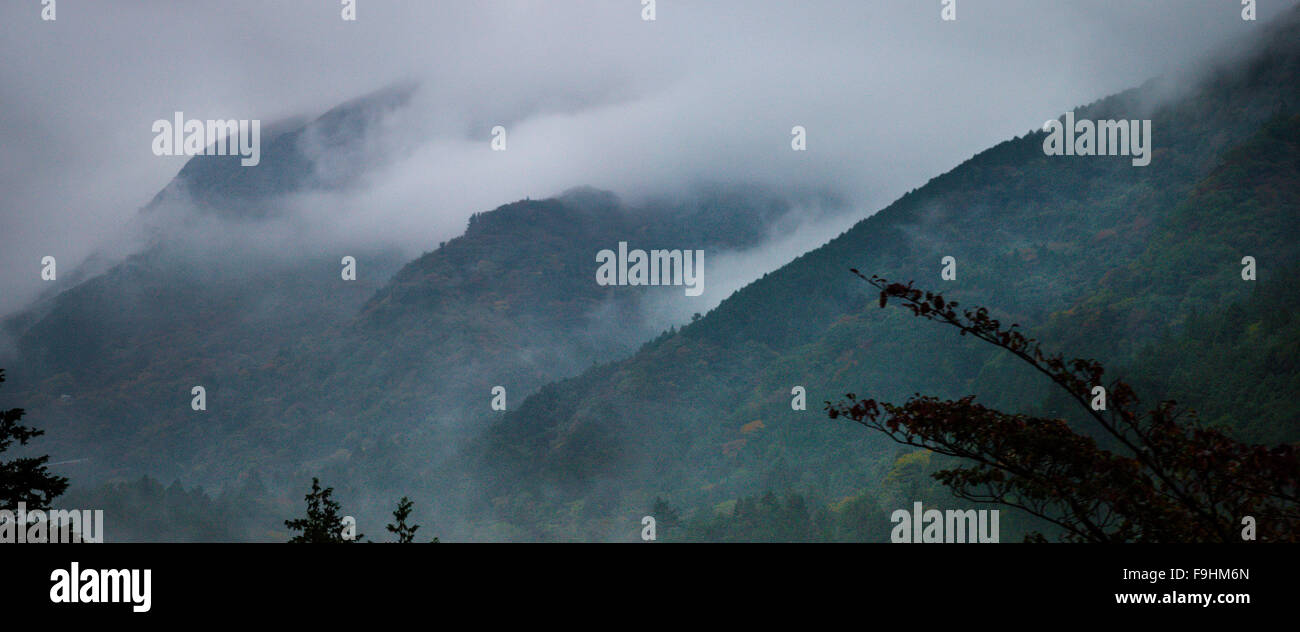 La MONTAGNE ET LE BROUILLARD, LE LAC ASHI JAPON HAKONE Banque D'Images