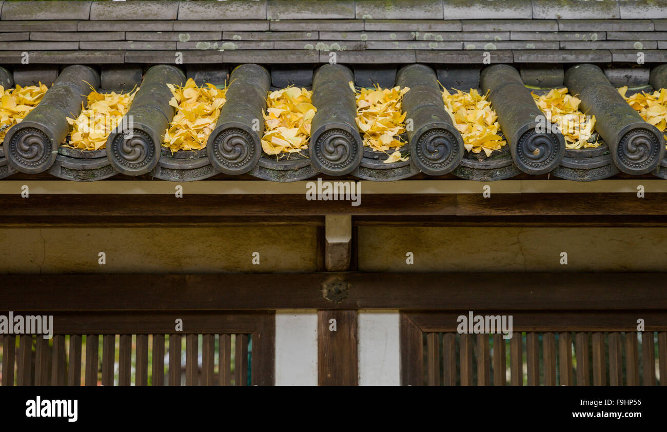 Détail de la toiture en feuilles de ginko tombé, Temple Todai (752) JAPON NARA Banque D'Images