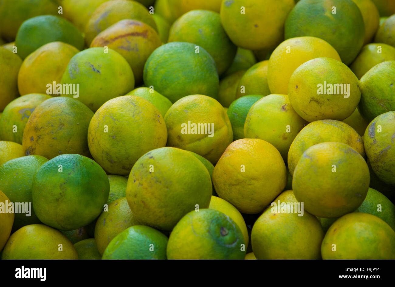 Mandarine jaune et vert de fruits tropicaux, de mandarines, de fruits tropicaux, de fruits, de l'Inde, de l'alimentation, de l'usine, dessert, dessert, de l'alimentation Banque D'Images