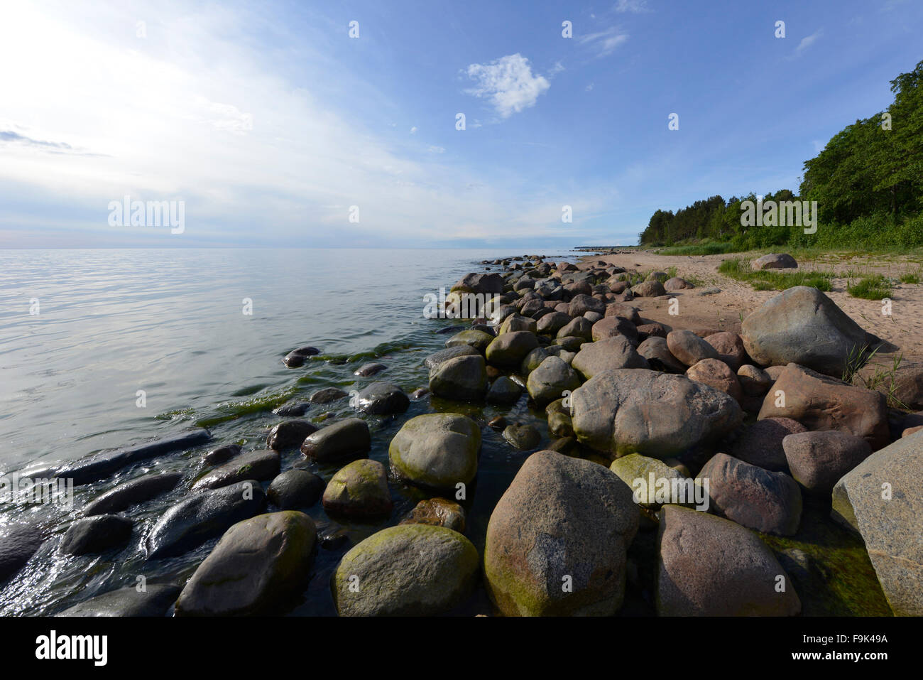 Plage à tuja, golfe de Riga, Lettonie Banque D'Images Plage à tuja, golfe de Riga, Lettonie Banque D'Images