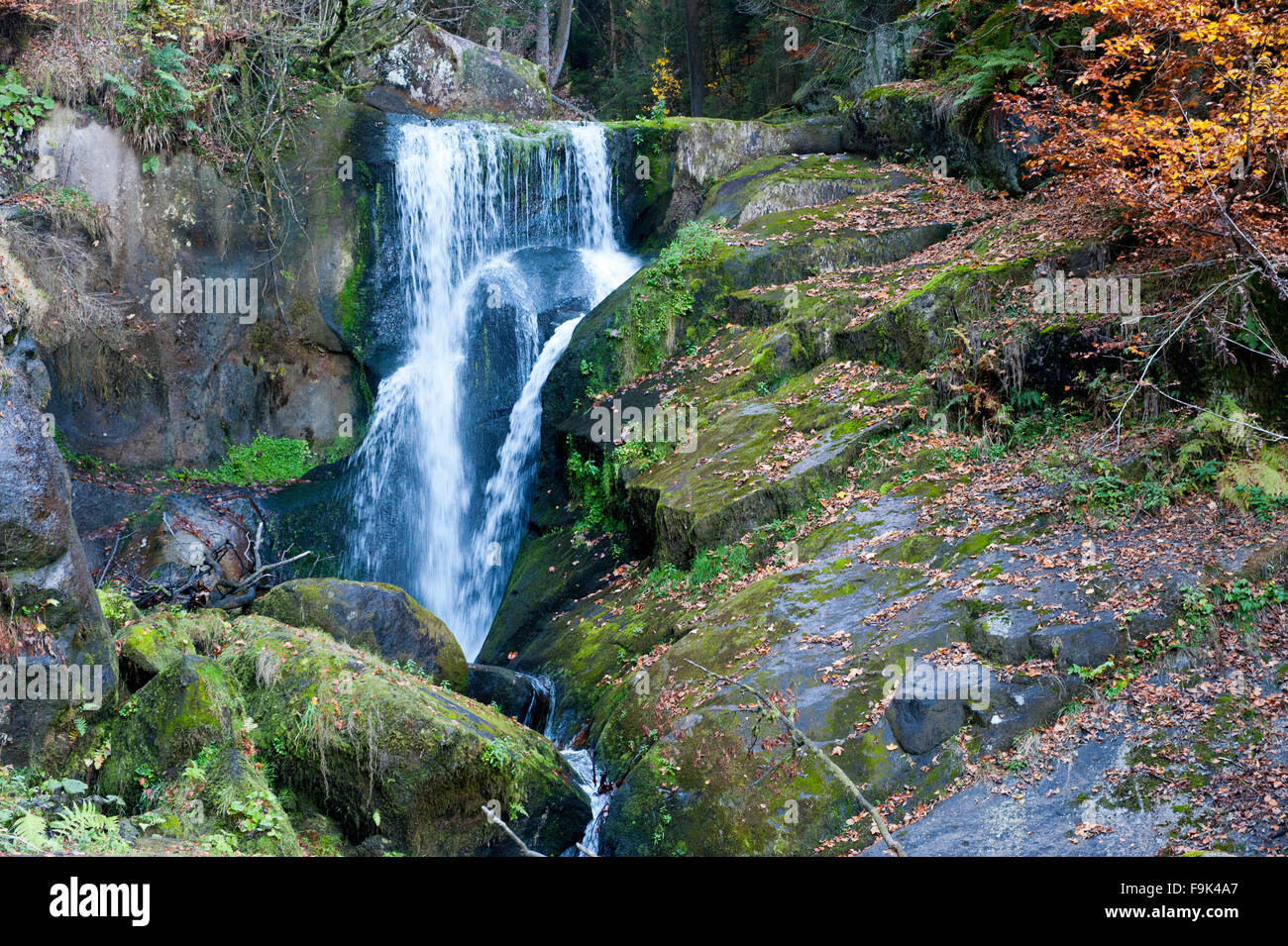 Cascades de triberg, triberg im schwarzwald, Bade-Wurtemberg, Allemagne Banque D'Images