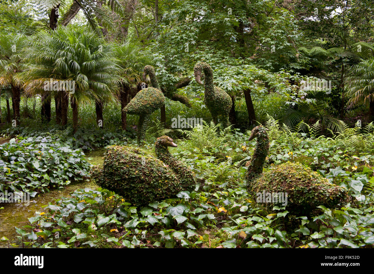 Parc de Terra Nostra, furnas, São Miguel, Açores, Portugal Banque D'Images