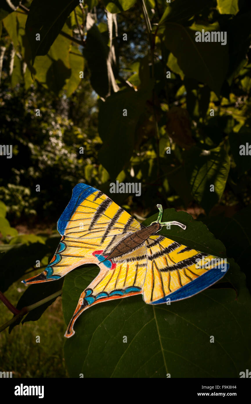 Papillon de papier Banque D'Images