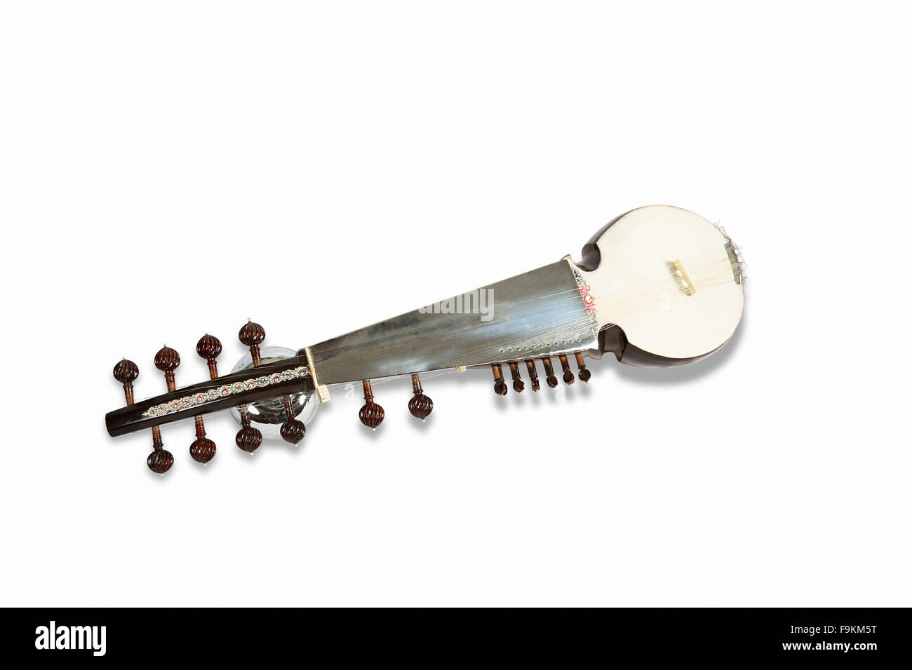 Le Sarod, un instrument à cordes de musique classique populaire de l'Inde. Banque D'Images