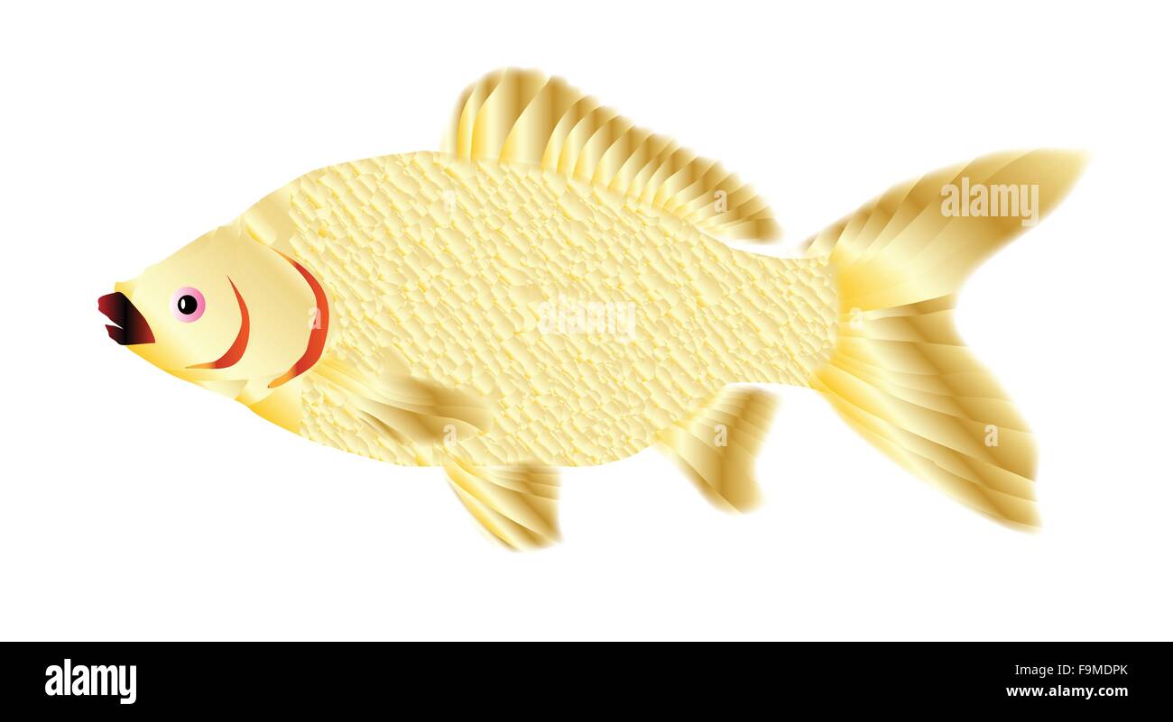 Un poisson rouge sur un fond blanc Illustration de Vecteur