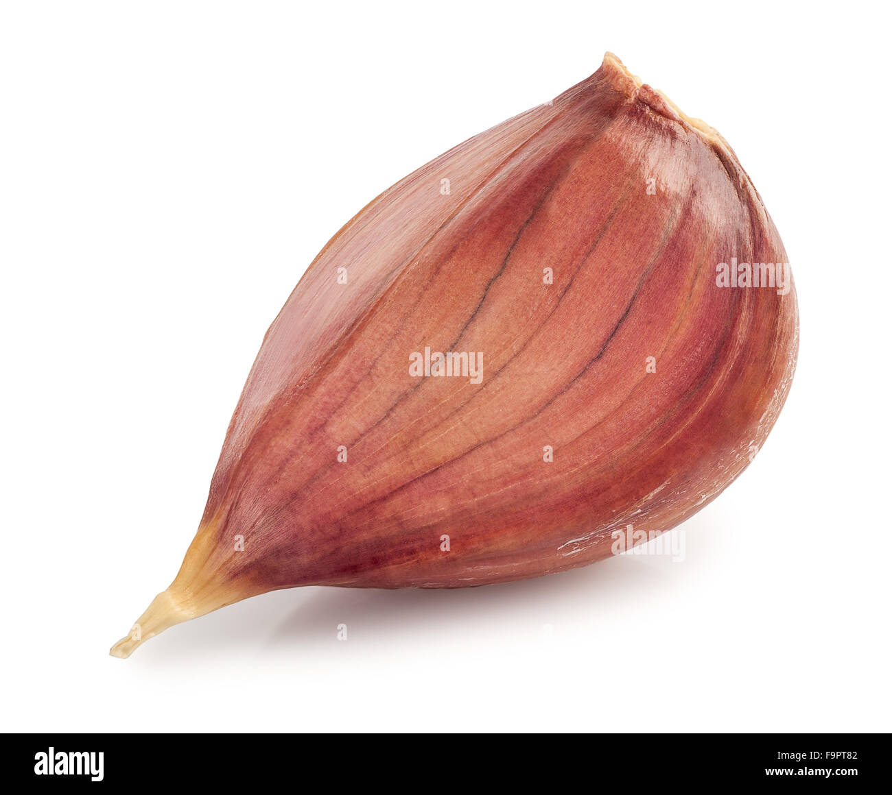 Gousse d'ail libre isolé sur fond blanc Banque D'Images