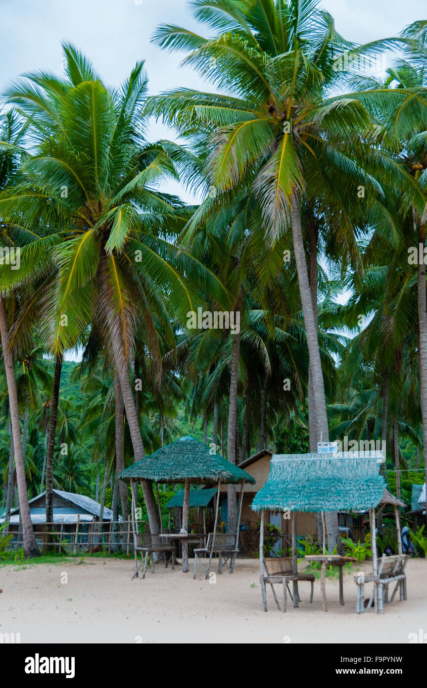 De petites huttes de bambou Nipa sur la plage sous les palmiers Banque D'Images
