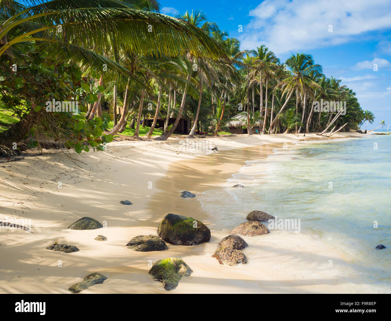 Tropica beach avec cocononuts palm sur une île des Caraïbes Banque D'Images