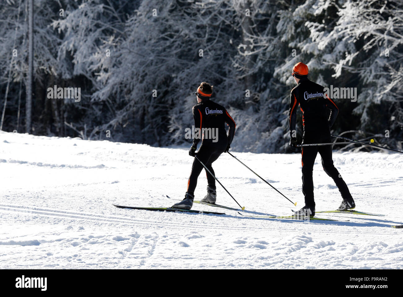 Le ski de fond. Banque D'Images