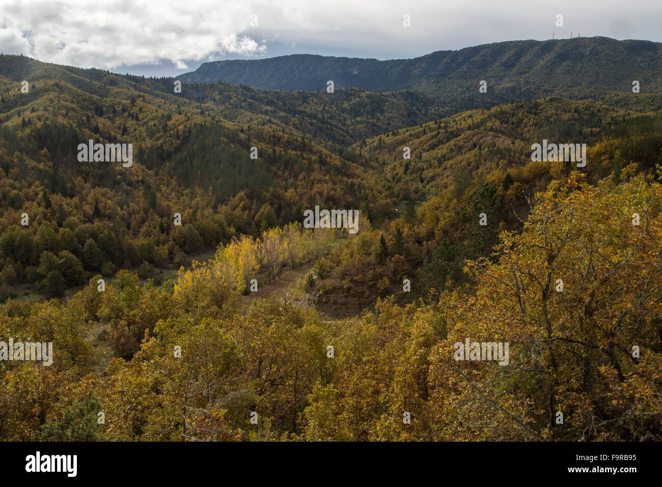 Le boisé au nord des montagnes Pindos au bord de Zagoria, d Dhilopho. Zagoria, l'Épire. Banque D'Images