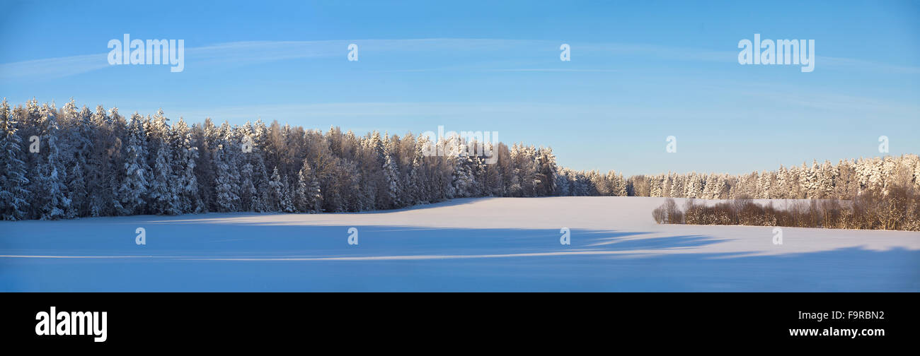 Journée ensoleillée d'hiver au Bélarus. Panorama. Paysage de neige Banque D'Images