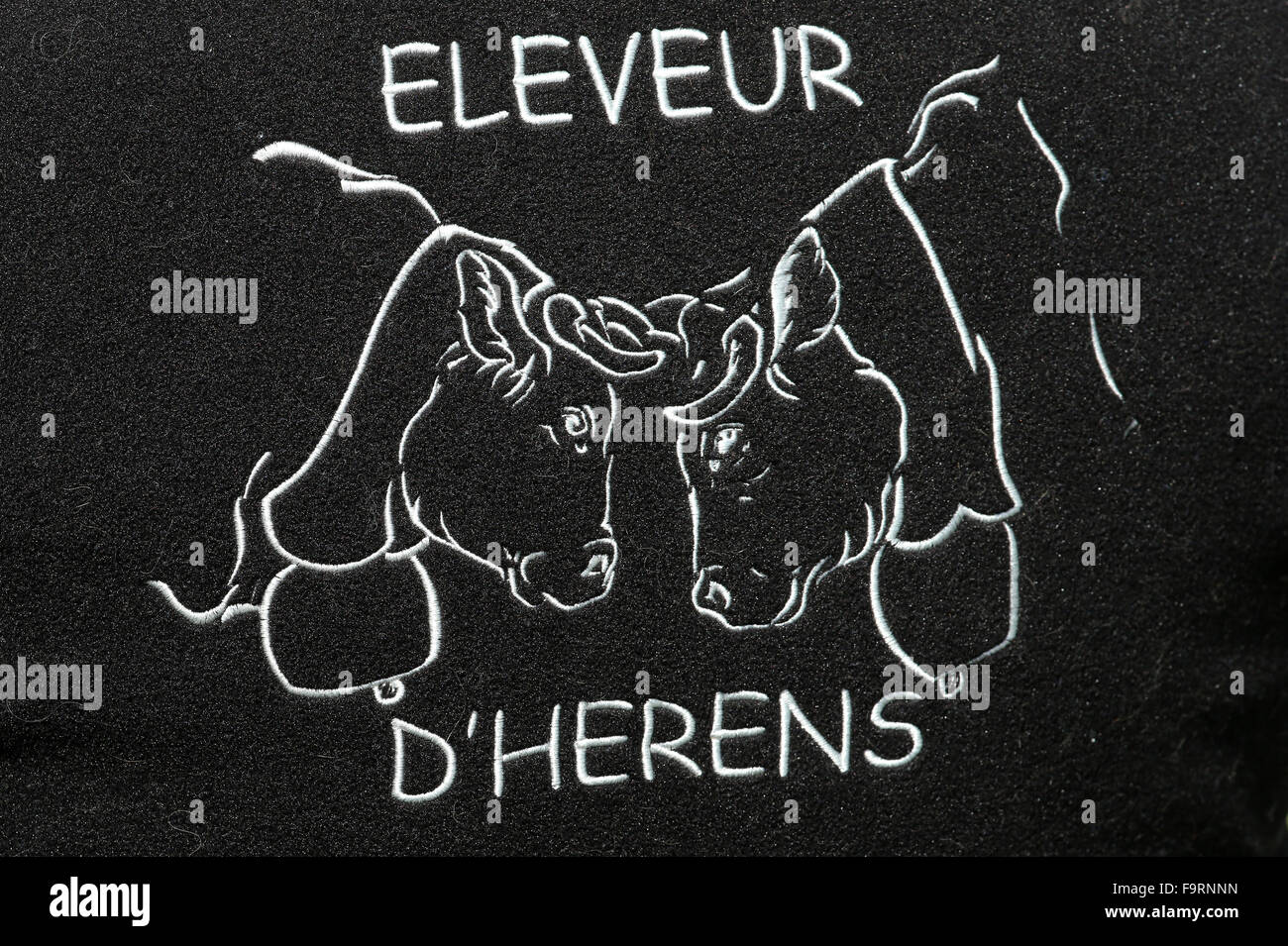 Farmer t-shirt. L'Herens (Eringer en allemand) est une race de bovins nommé d'après le Val d'HŽrens région de Suisse. Banque D'Images