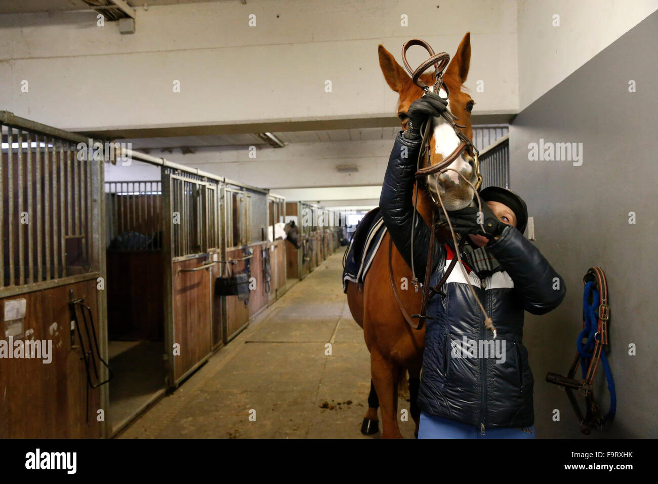 Stable. Jeune femme adulte avec son cheval. Banque D'Images