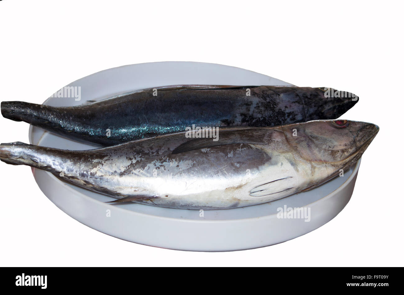 Un poisson rouge sur une assiette blanche,les poissons,un thon,sur une plaque blanche,frais,alimentation,une capture de poissons de mer,un produit, Banque D'Images
