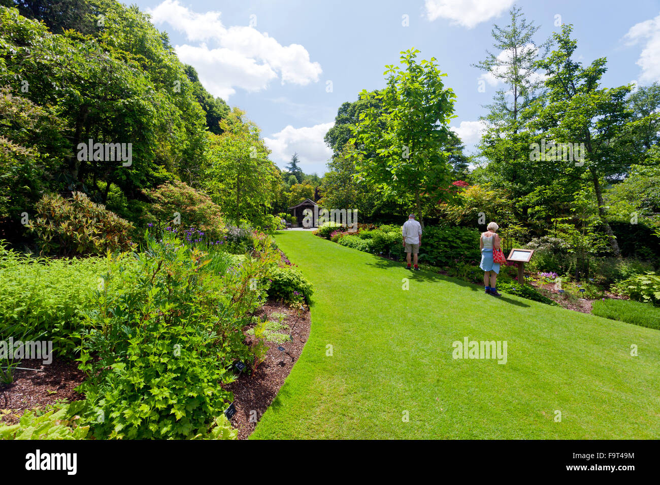 Les frontières herbacées et pelouse, à l'Immaculé Cherry Garden à RHS Rosemoor, North Devon, England, UK Banque D'Images