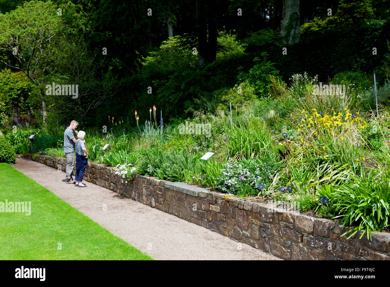 Les visiteurs d'admirer le jardin bien garni Croquet des frontières au RHS Rosemoor, North Devon, England, UK Banque D'Images
