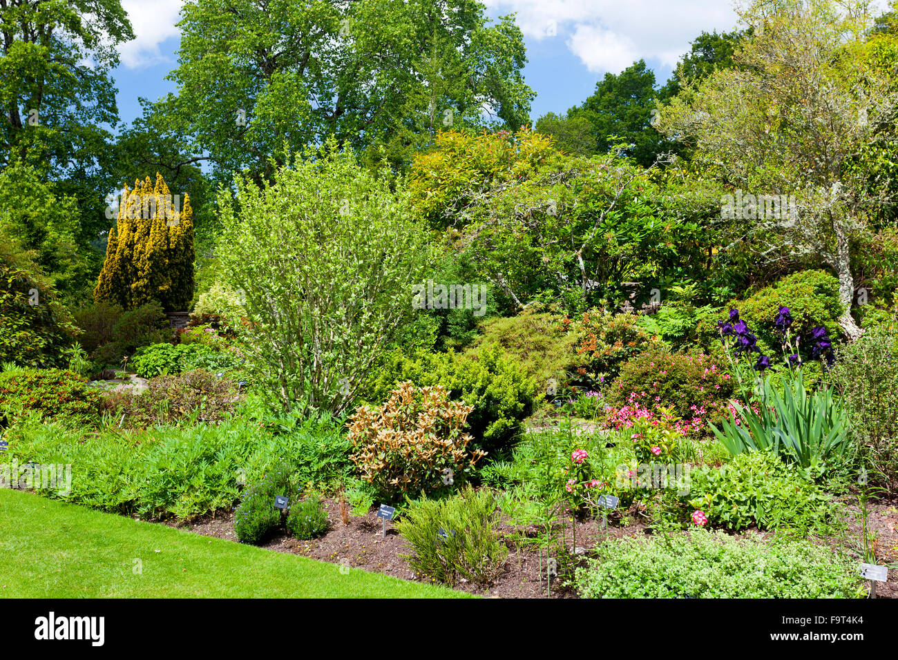 Le bien garnie de Croquet garden Rosemoor, RHS des frontières au nord du Devon, England, UK Banque D'Images