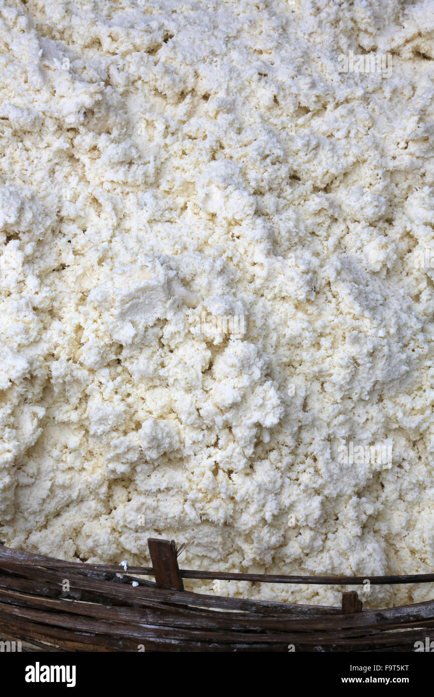 Le séchage au soleil du manioc. Banque D'Images