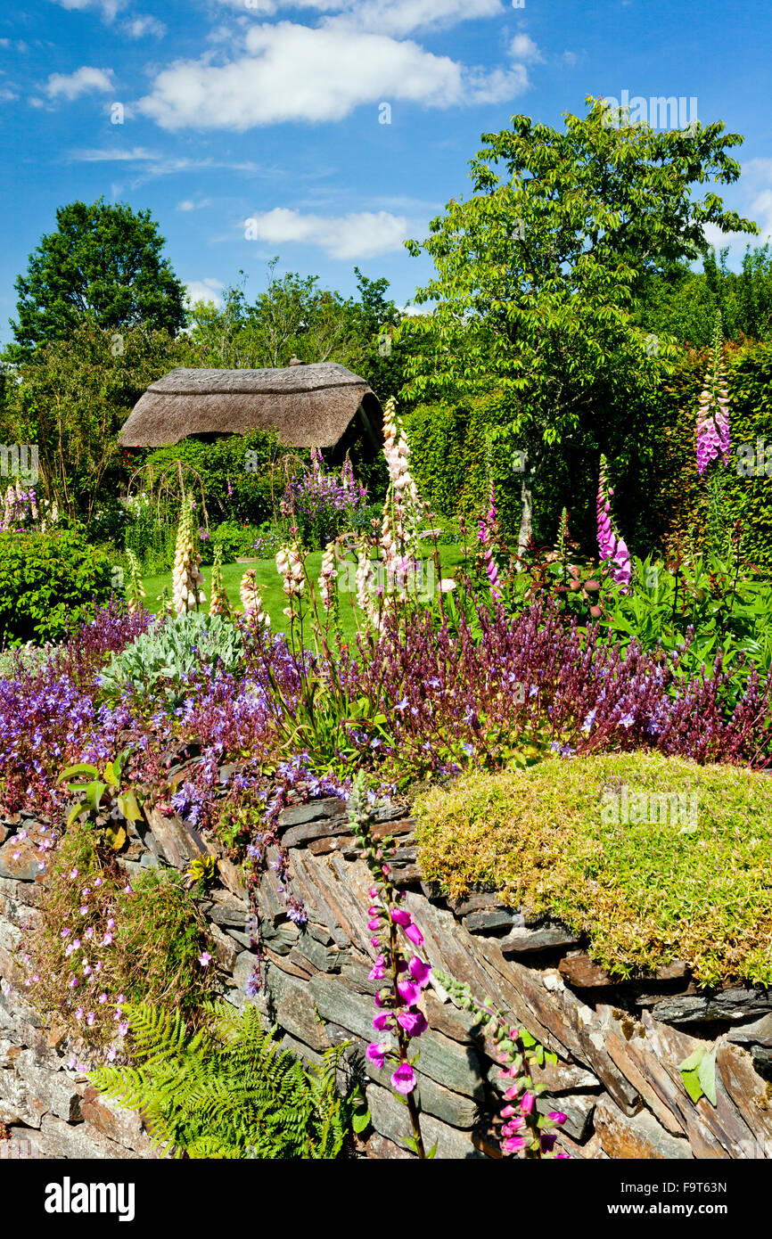 Frontières herbacées colorées et un mur en pierre sèche dans le Chalet à RHS Rosemoor, North Devon, England, UK Banque D'Images