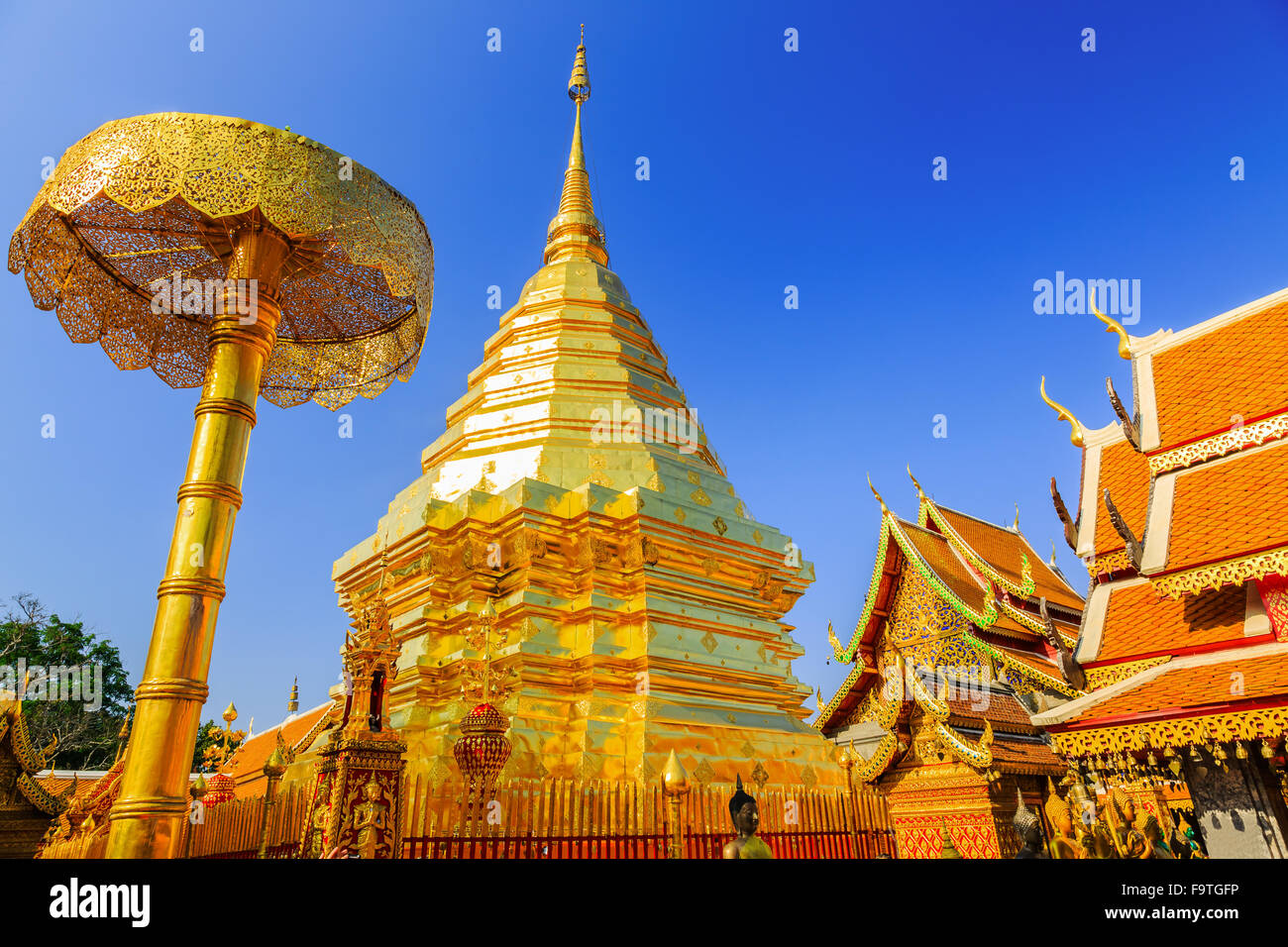 Chiang Mai, Thaïlande. Wat Doi Shutep, golden pagoda. Banque D'Images