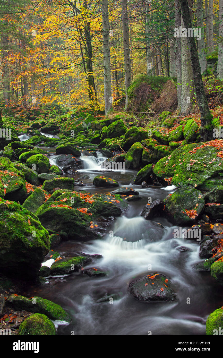 Cascades de la grosse Ohe rivière qui coule à travers le Steinklamm valley, Parc National de la forêt bavaroise, Bavière, Allemagne Banque D'Images