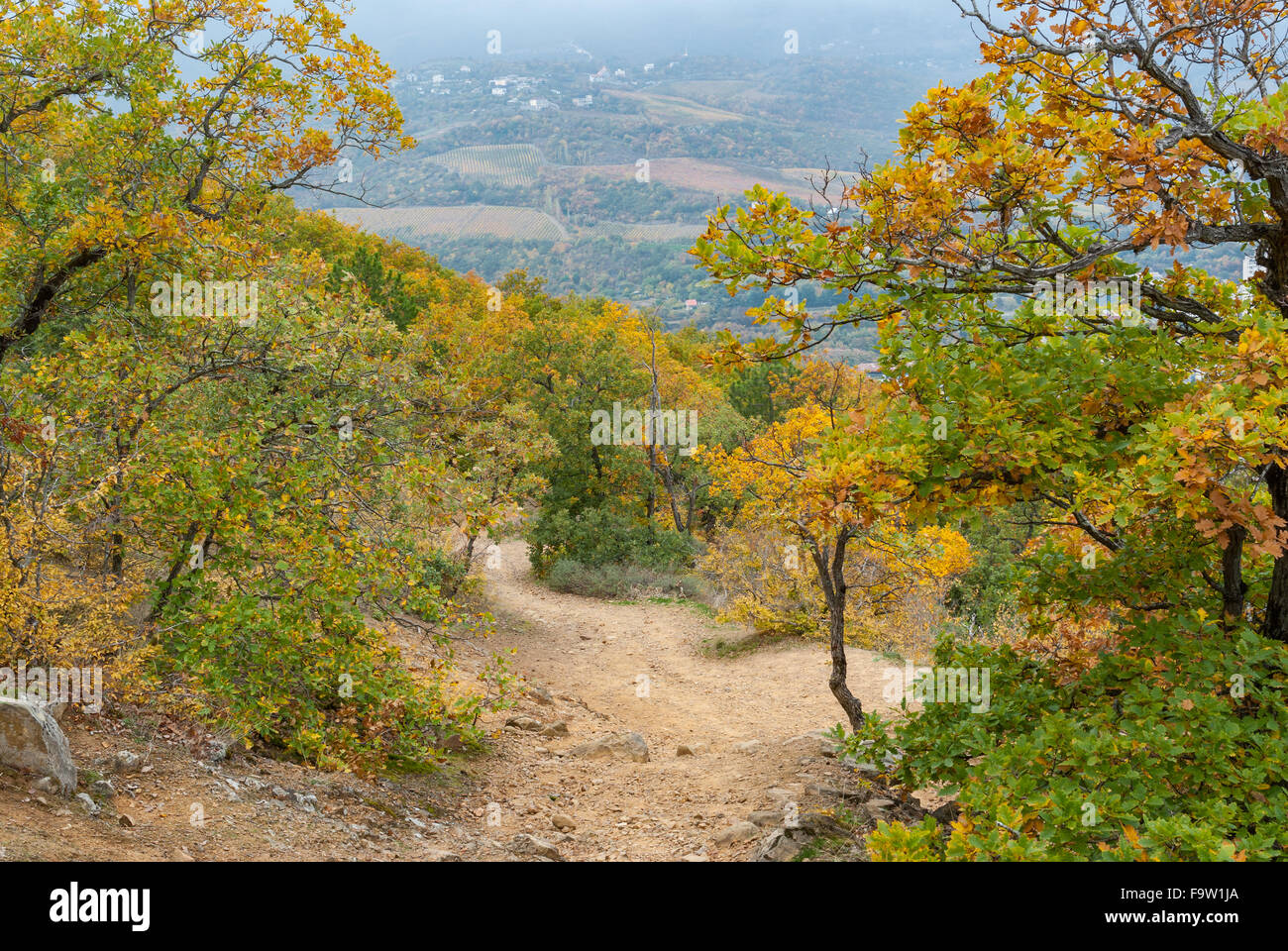 Rocky Road à Ayu-Dag (ours) forêt de montagne à l'automne dans la péninsule de Crimée Banque D'Images