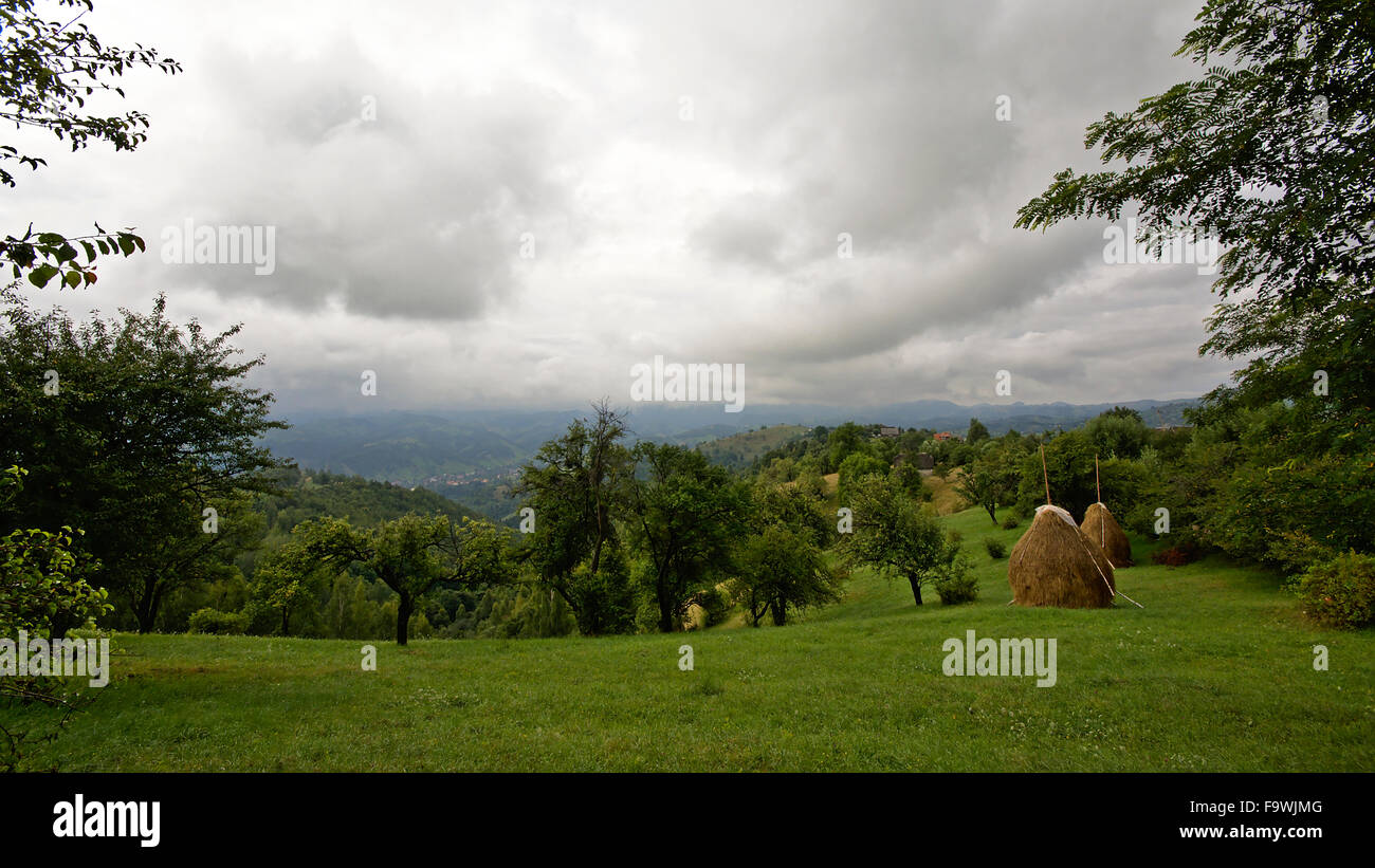 Paysage nuageux dans les montagnes Piatra Craiului, Roumanie Banque D'Images