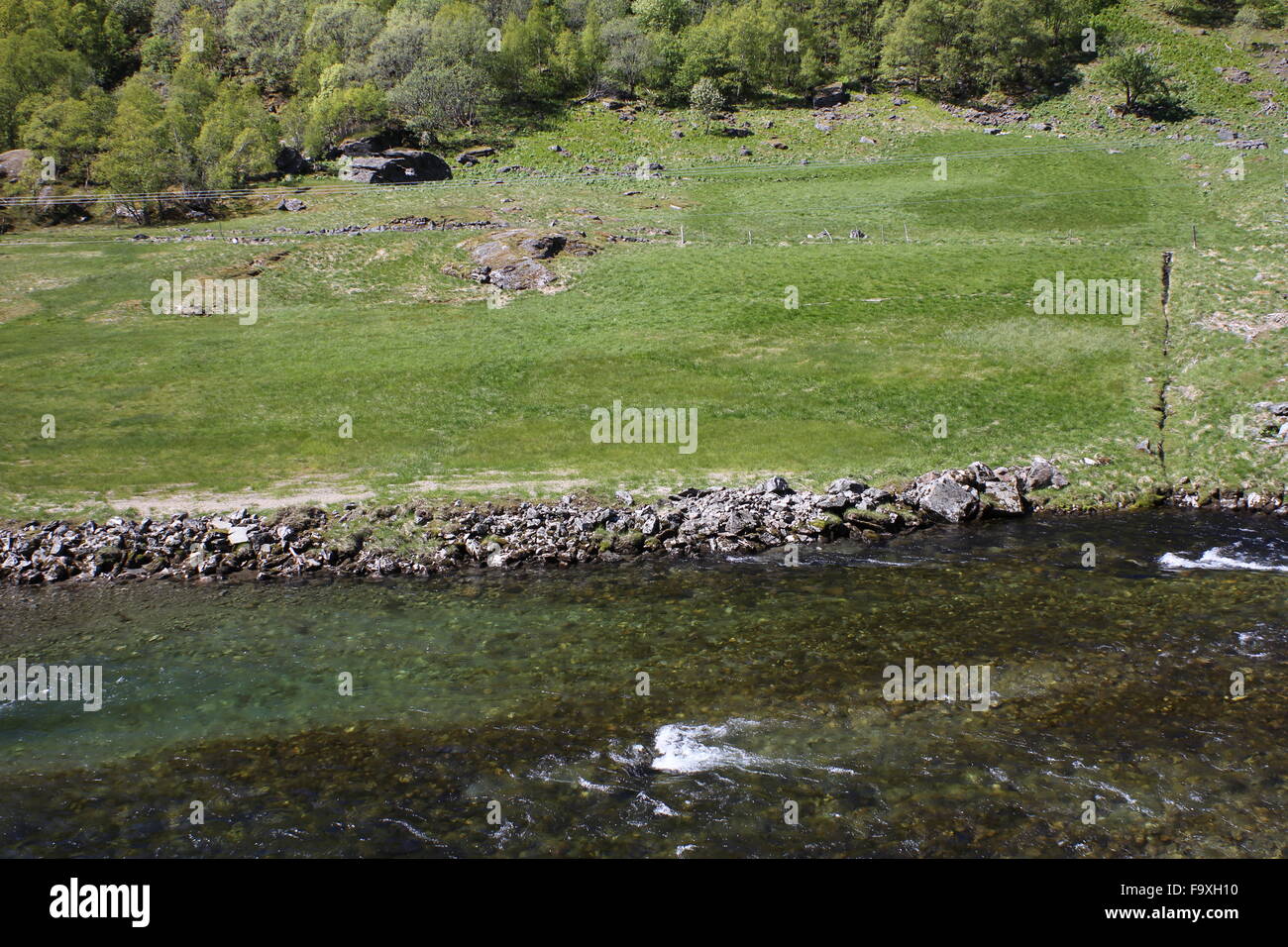 L'eau claire d'une rivière de montagne / flux avec de l'herbe verte et des arbres vu de l'Flamsbana in Norway (Flam Railway) en Norvège Banque D'Images