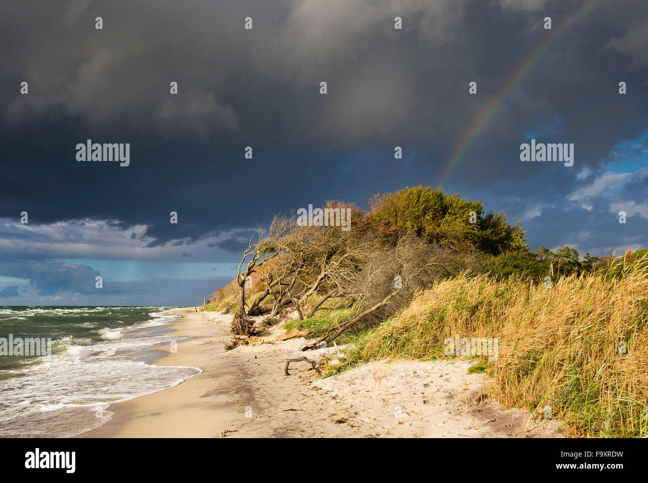 L'Allemagne, de Mecklembourg-Poméranie occidentale, de nuages de pluie et arc-en-ciel sur la mer Baltique dans né auf dem Darss Banque D'Images