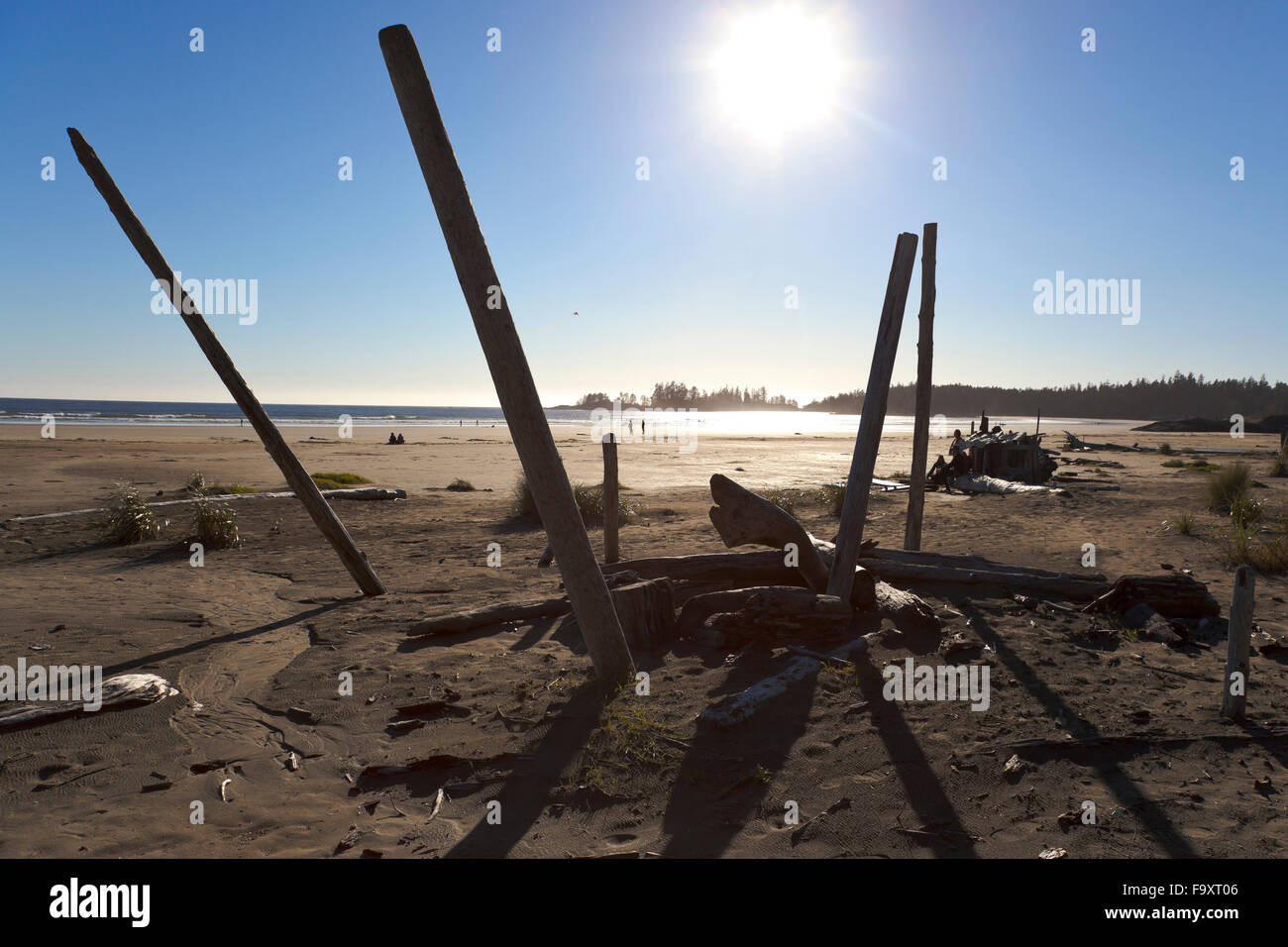 Le Canada, l'île de Vancouver, Longbeach, bois flotté sur la plage Banque D'Images