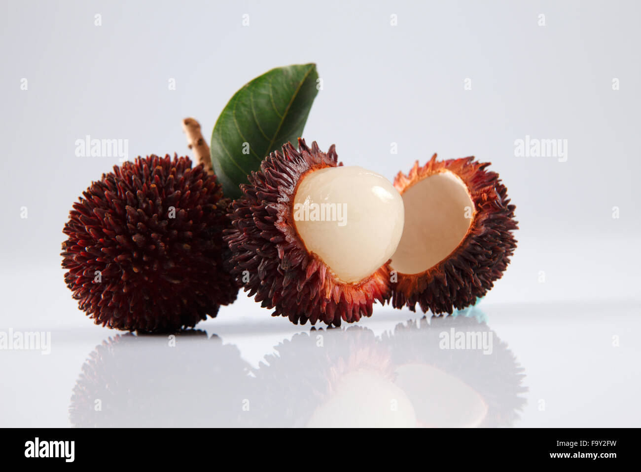 Pulasan peau épaisse ou ramboutan sauvages sur le fond blanc Banque D'Images