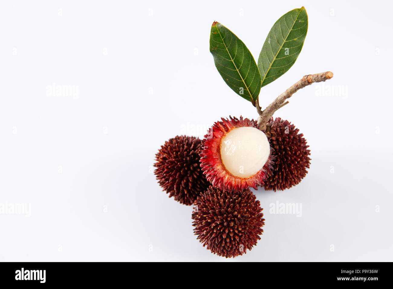 Pulasan peau épaisse ou ramboutan sauvages sur le fond blanc Banque D'Images