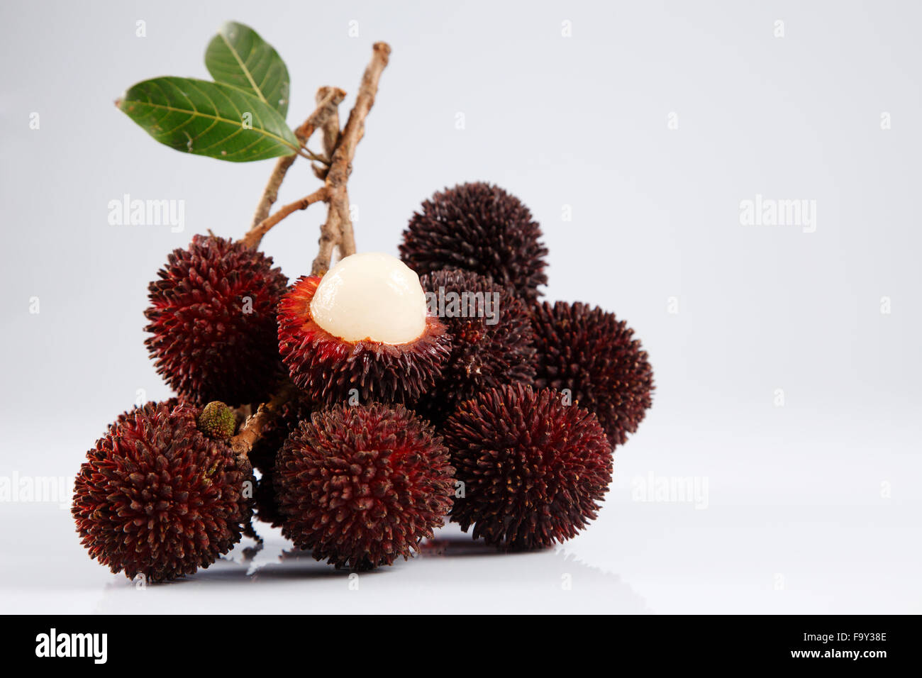 Pulasan peau épaisse ou ramboutan sauvages sur le fond blanc Banque D'Images